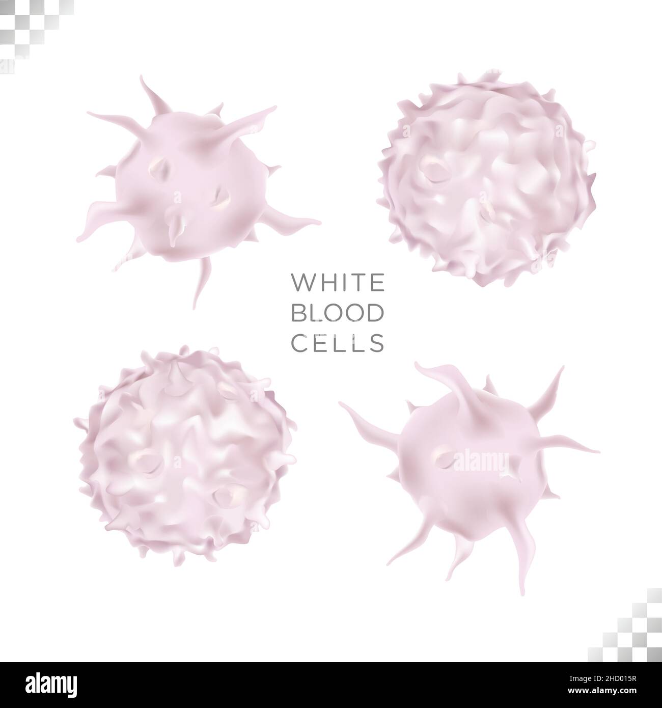Illustration der Biowissenschaft der Immunität weiße Blutkörperchen zirkulieren den menschlichen Körper Stock Vektor