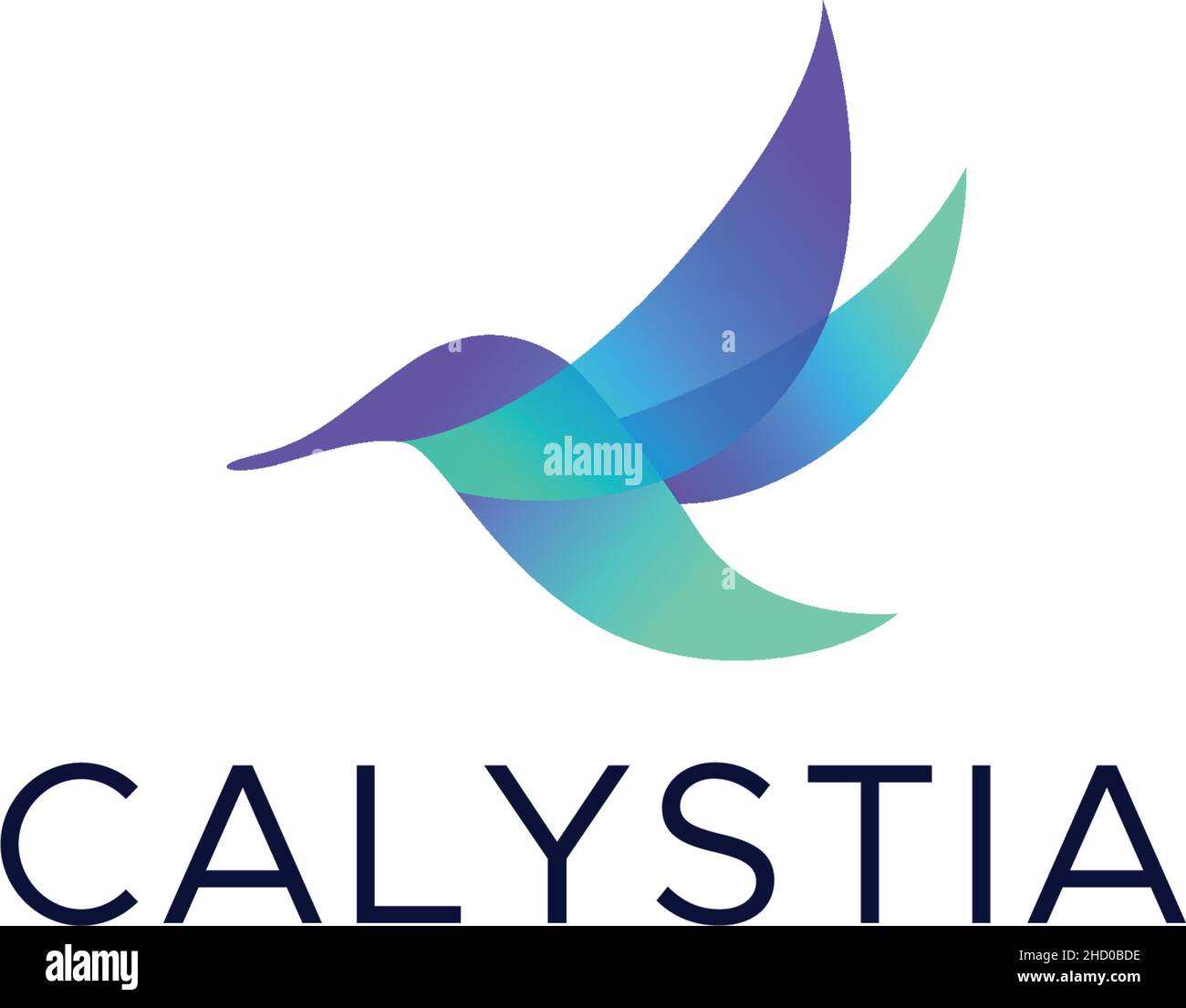 Modernes farbenfrohes Design CALYSTIA Vogel-Logo-Design Stock Vektor