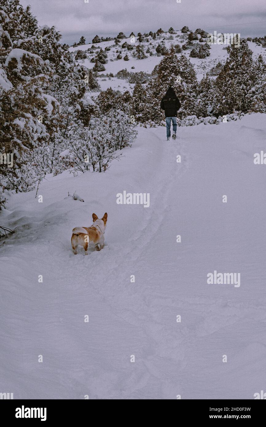 Ein Mann und sein Corgi-Mix-Hund gehen auf einer unerfahrenen schneebedeckten Straße in einem abgelegenen Teil von Nord-New Mexico. Stockfoto