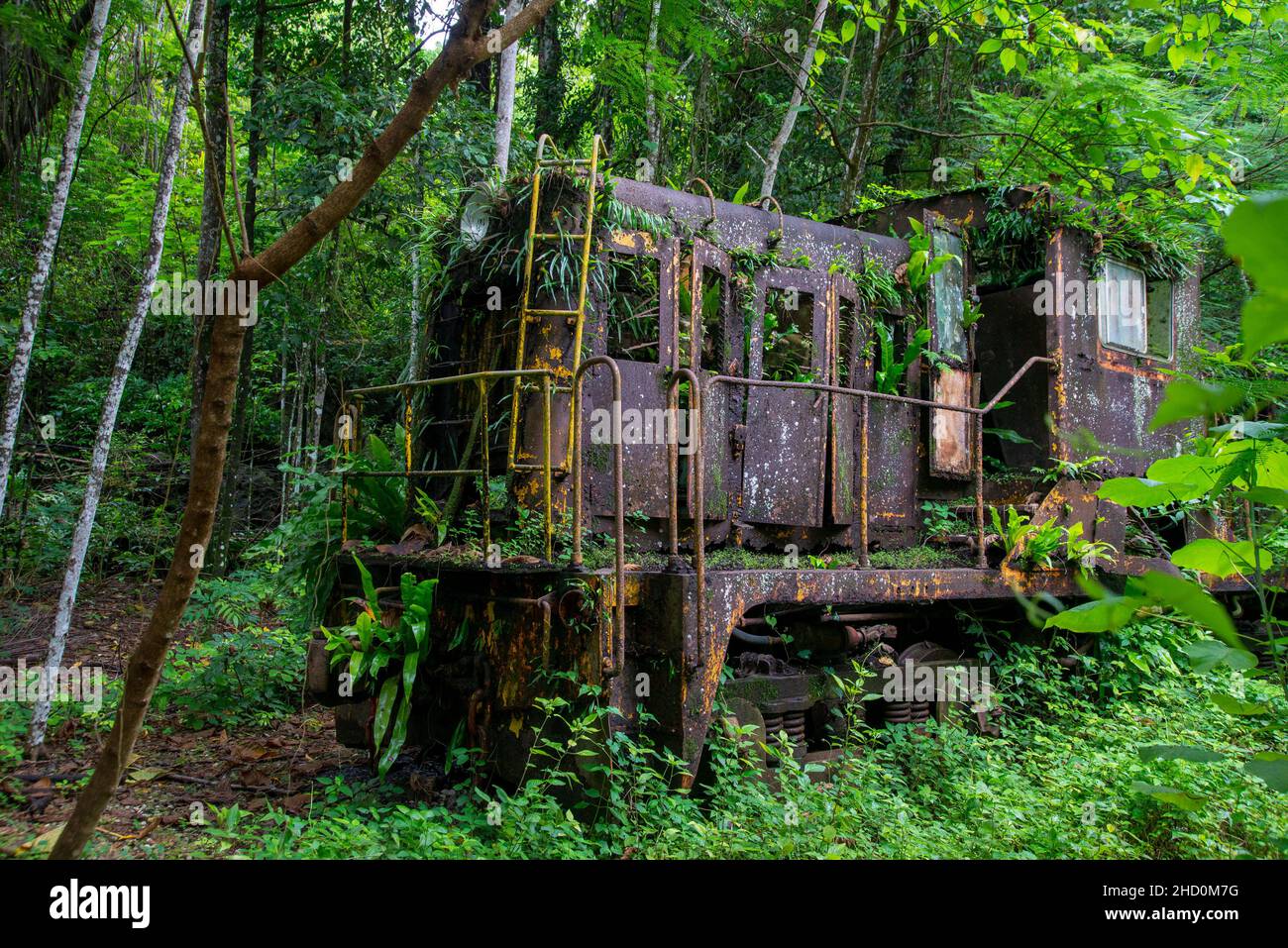 Ein Dieselzug im Dschungel bei der Crab Bridge auf Christmas Island. Stockfoto