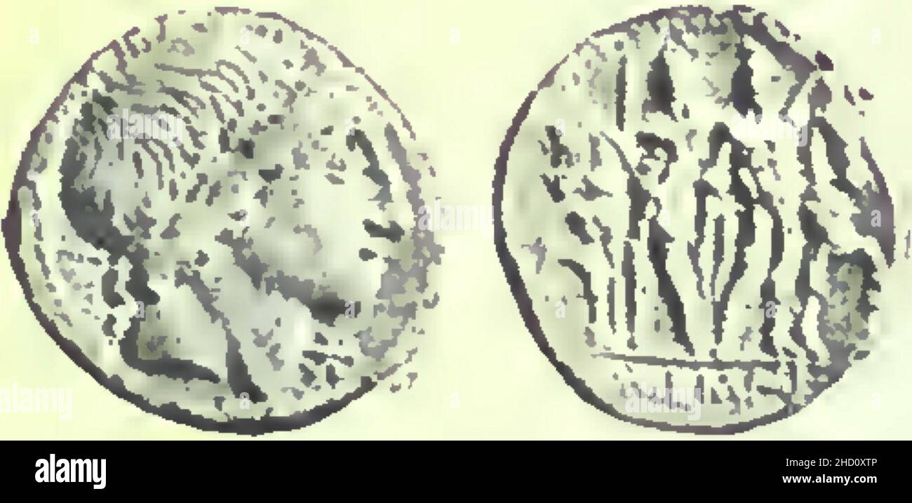 Rivista italiana di numismatica 1892 p175. Stockfoto