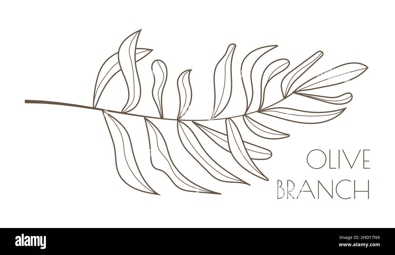 Olivenzweigvektor in Doodle, Skizzenstil. Tinte, Bleistift von Hand  gezeichneter Olivenbaum, Bltter fr Wrapper-Muster, Logo, Rahmen oder  Rahmen. Minimale Einzelzeile Stock-Vektorgrafik - Alamy