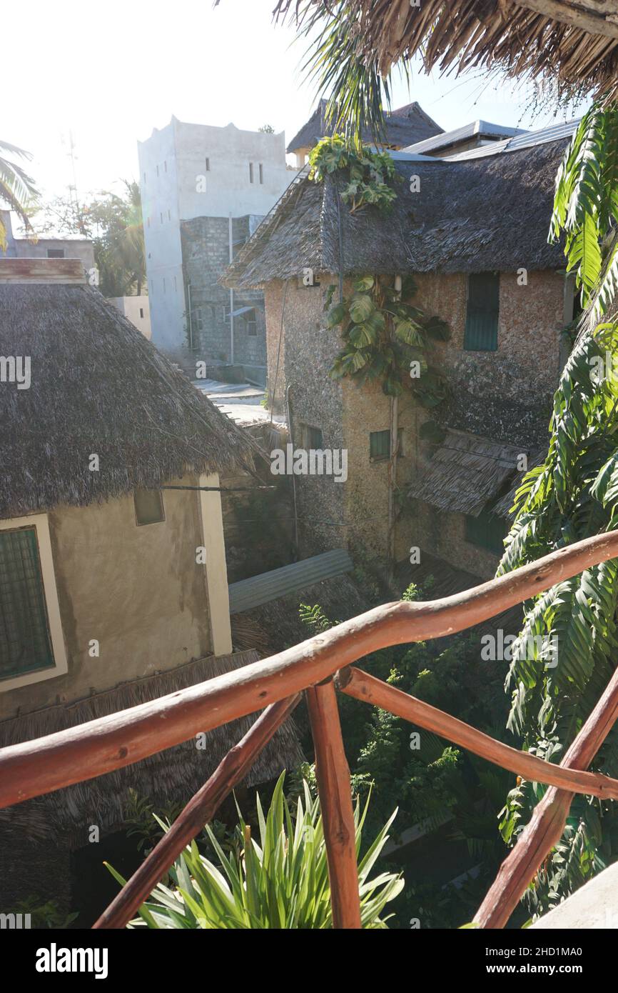 Swahili-Architektur und üppige Pflanzen in Lamu, Kenia Stockfoto