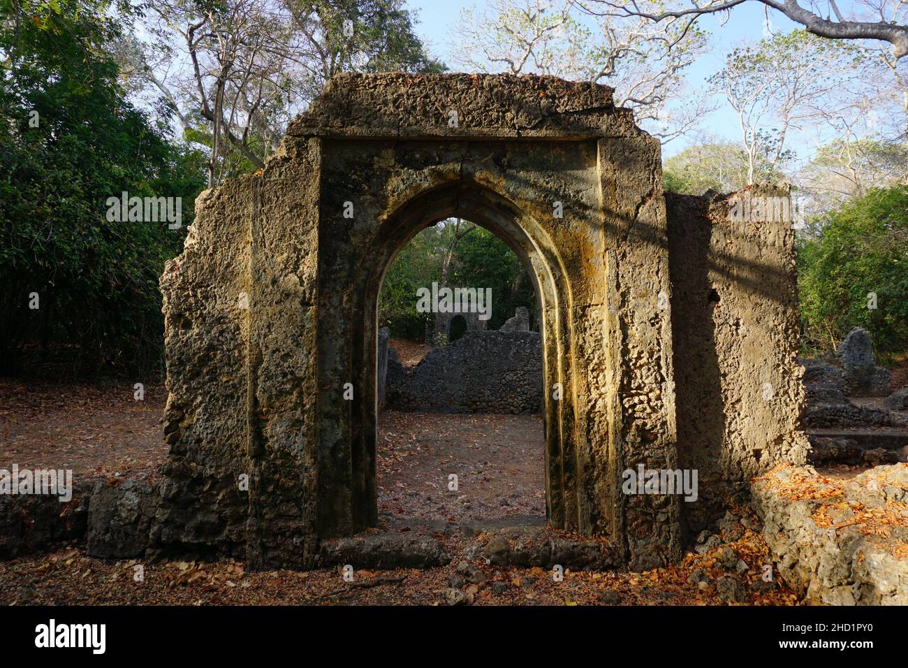 Wunderschöner Torbogen im Gedi Ruins Complex in Watamu, Kenia Stockfoto