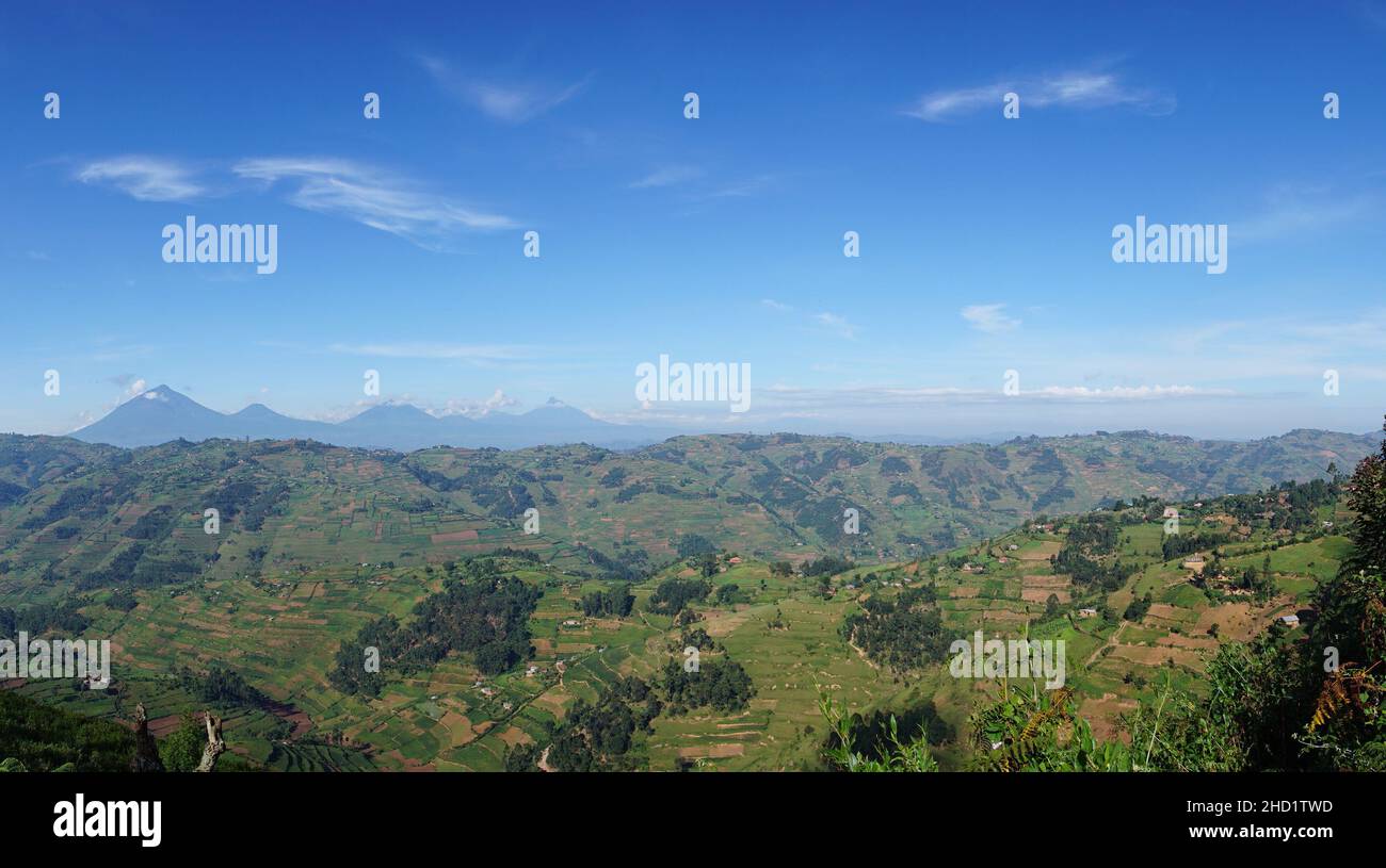 Blick auf die Virunga Mountain Range in der Nähe des Bwindi Impenetrable Forest, Uganda Stockfoto