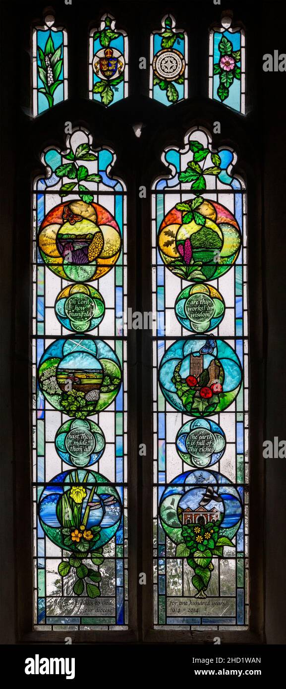 Buntglas Bistum Hundertjahrfeier Fenster 1914-2014 von Deborah Lowe von lokalen Szenen, Wortham Kirche, Suffolk, England, Großbritannien Stockfoto