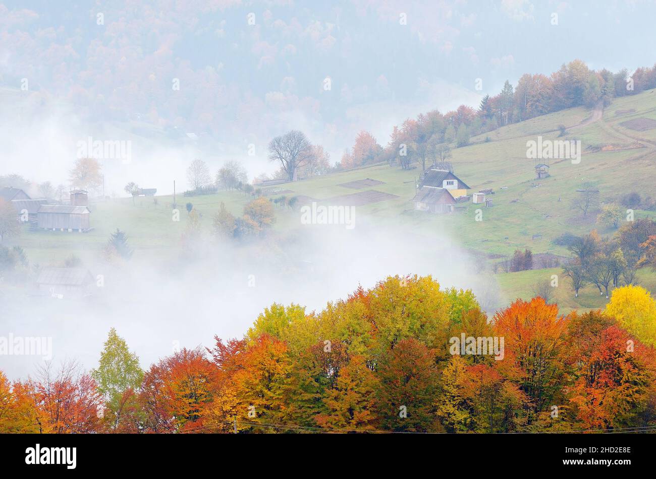 Herbstlandschaft. Nebel im Bergdorf. Karpaten, Ukraine, Europa Stockfoto