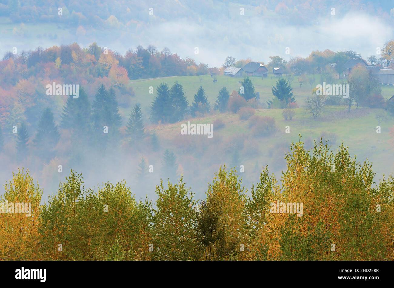 Herbstnebel. Bergdorf. Karpaten, Ukraine, Europa Stockfoto