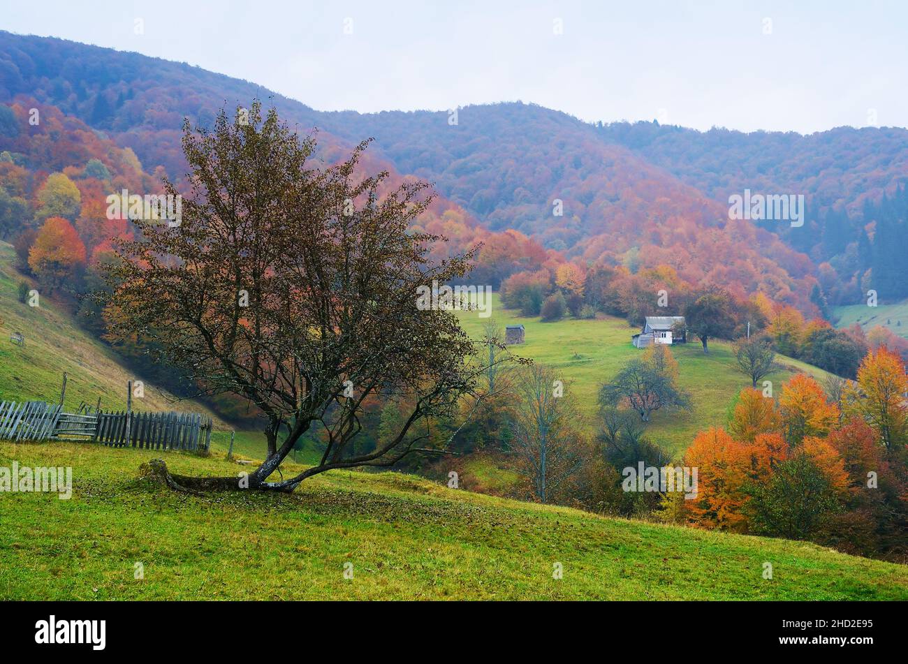 Herbstlandschaft in einem Bergdorf. Karpaten, Ukraine, Europa Stockfoto