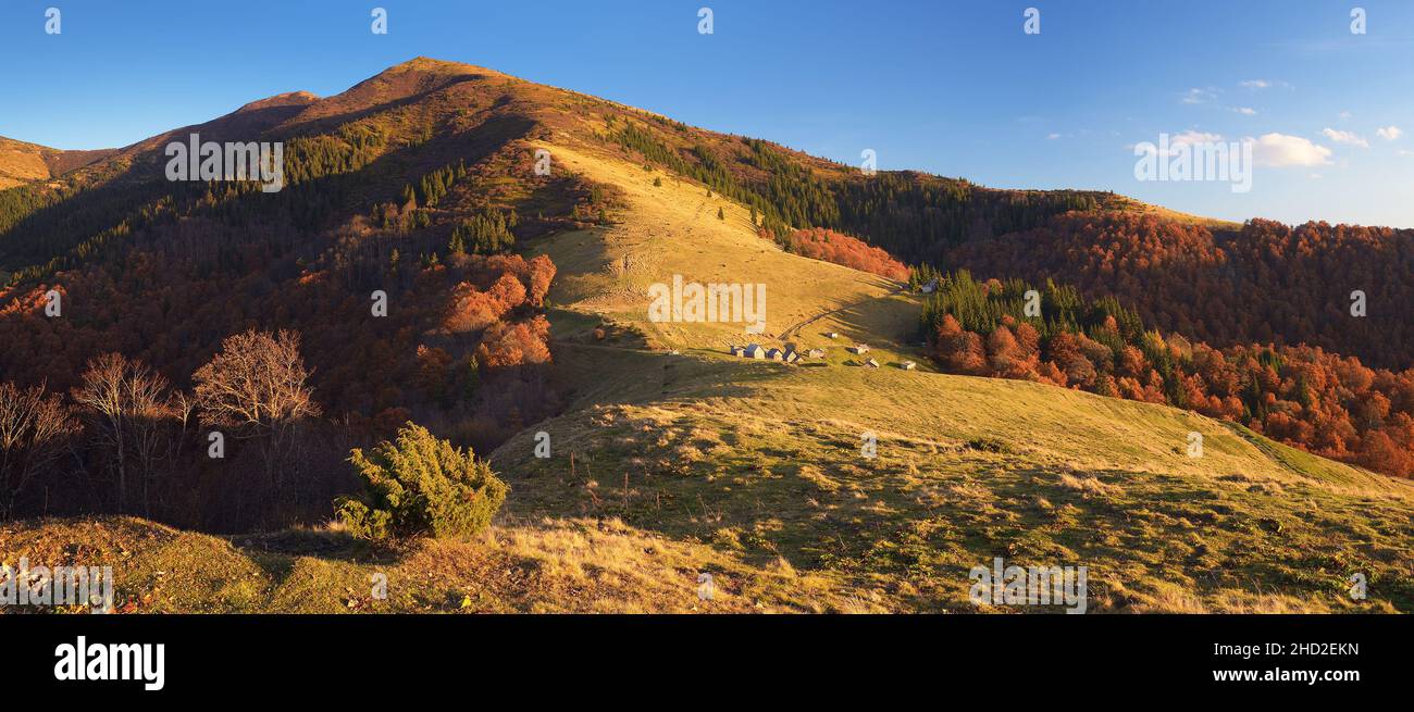 Bergdorf. Landschaftsansicht des Herbstes. Das Dorf der Hirten. Karpaten, Ukraine, Europa. Sonniger Abend Stockfoto