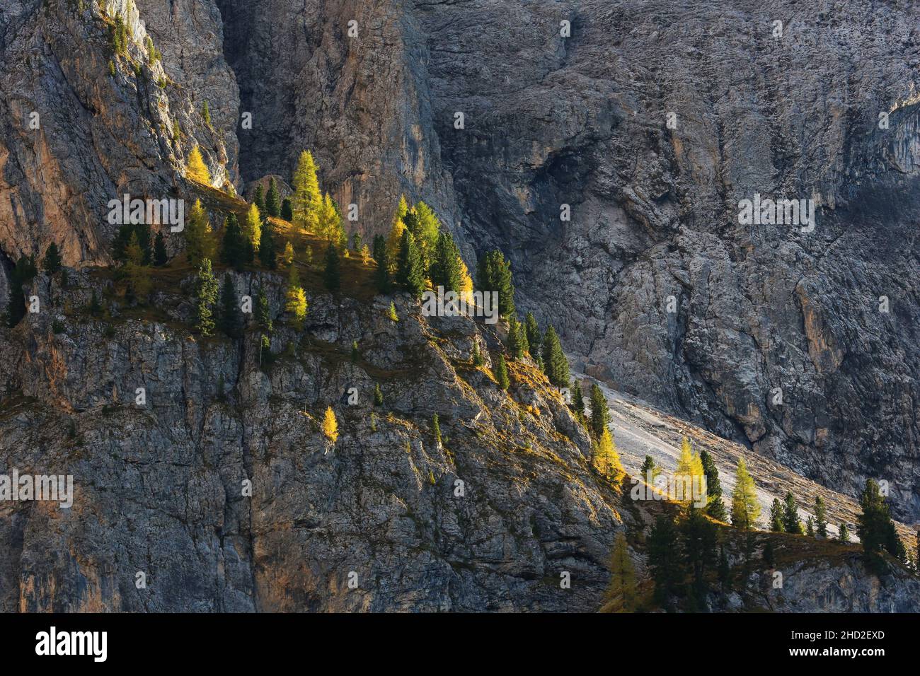Langkofel, Berg, Fels, Dolomiten, Panorama mit Bergwald und Bäumen mit herbstlicher Lichtimung in Südtirol in den Dolomiten in Italien Stockfoto