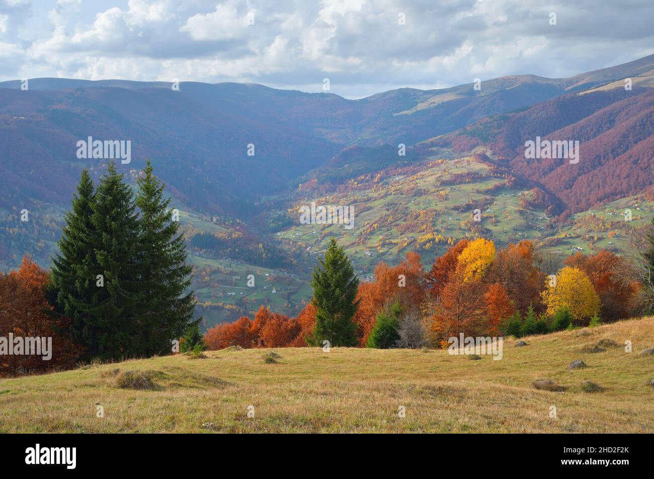 Herbstlandschaft mit Wäldern an den Hängen. Bergdorf. Karpaten, Ukraine, Europa Stockfoto