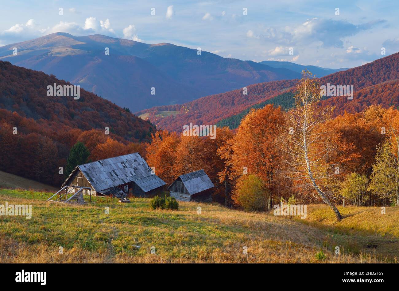 Herbst Landschaft mit bunten Wald. Hütte in den Bergen. Sonnigen Tag Stockfoto