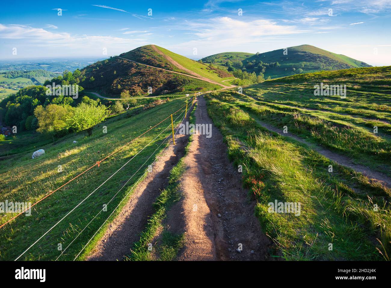 Kurz nach Sonnenaufgang im Sommer, Blick nach Norden auf den zweiten Haupthügel aus dem Norden der Malvern Hill Range.Sugarloaf Hill liegt zwischen dem W Stockfoto