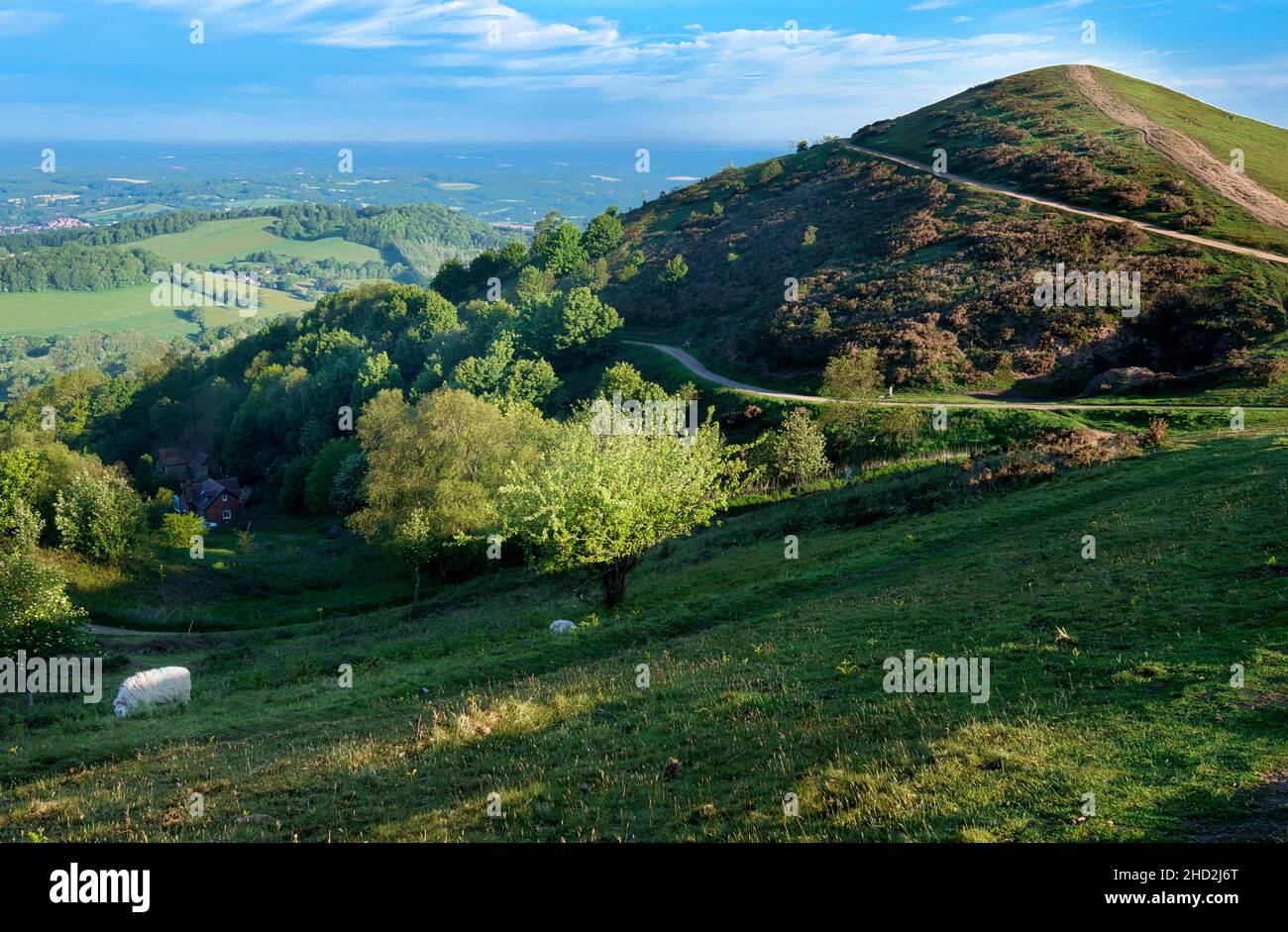 Kurz nach Sonnenaufgang im Sommer, Blick nach Norden auf den zweiten Haupthügel aus dem Norden der Malvern-Hügelkette.Sugarloaf Hill liegt zwischen Worce Stockfoto