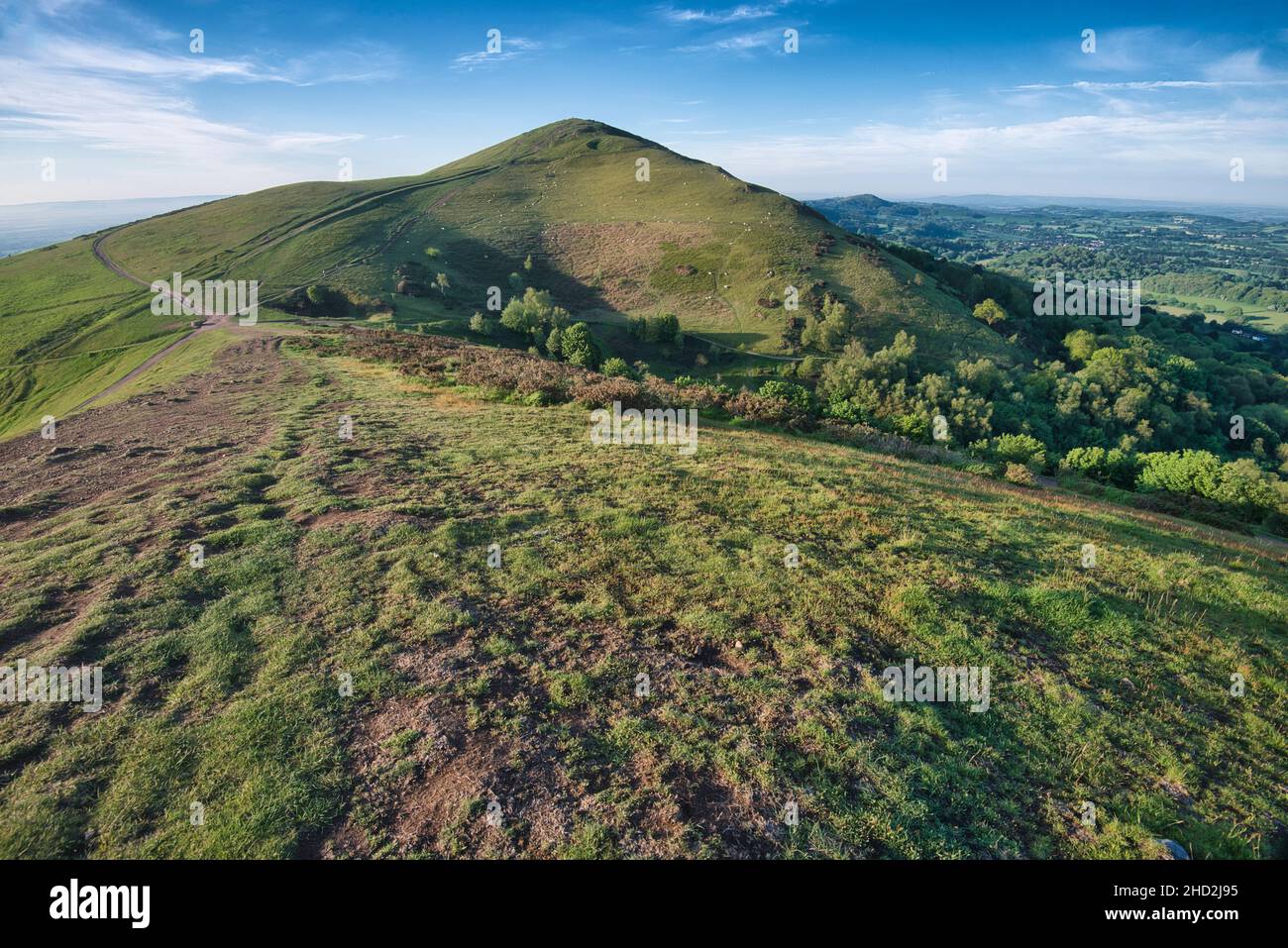 Bald nach Sonnenaufgang im Sommer, Blick nach Süden auf den zweiten Haupthügel aus dem Norden der Malvern Hill Range.Sugarloaf Hill liegt zwischen dem W Stockfoto
