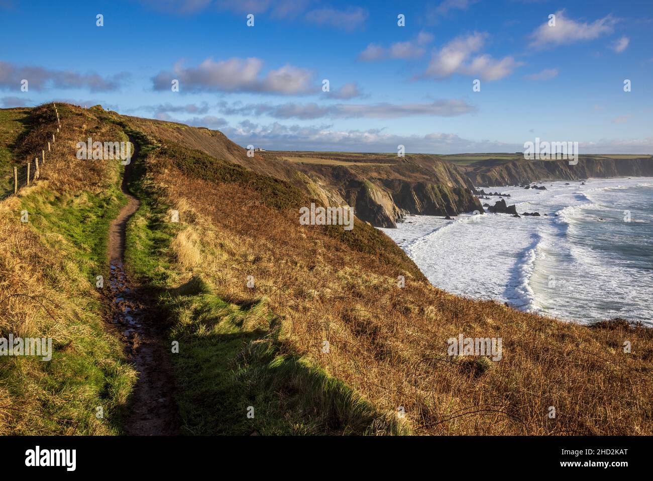 Der Pembrokeshire Coast Path im Winter über Marloes Sands, South Wales Stockfoto