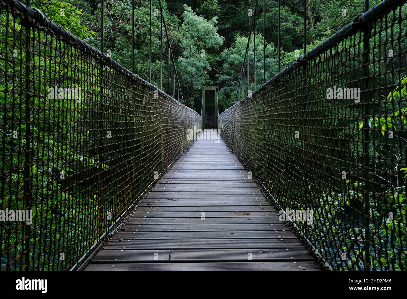 Hängebrücke über den Fluss im grünen Wald mit altem Baumbestand, Naturpark Fragas do Eume, Galicien, Spanien Stockfoto
