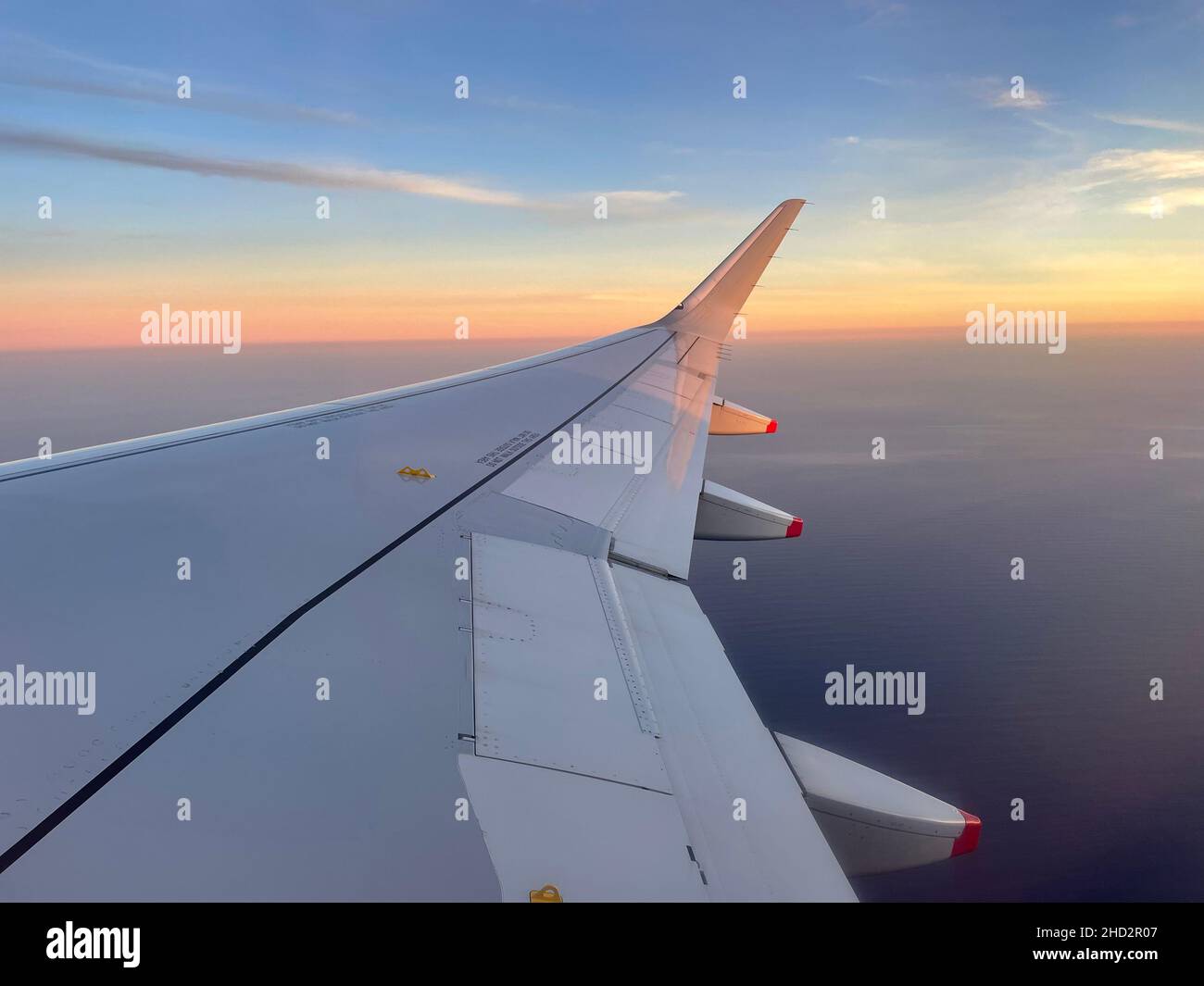 AIRBUS A320 Steuerbordflügel. Foto: Tony Gale Stockfoto