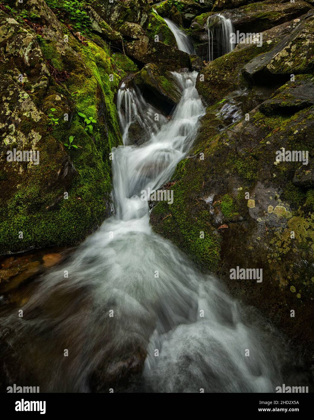 Kaskadierende Wasser- und moosbedeckte Felsen im Shenandoah National Park in Virginia Stockfoto