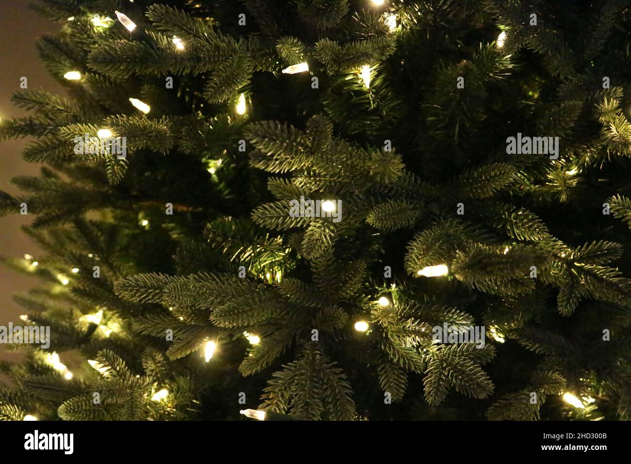 Lichter am Weihnachtsbaum Stockfoto