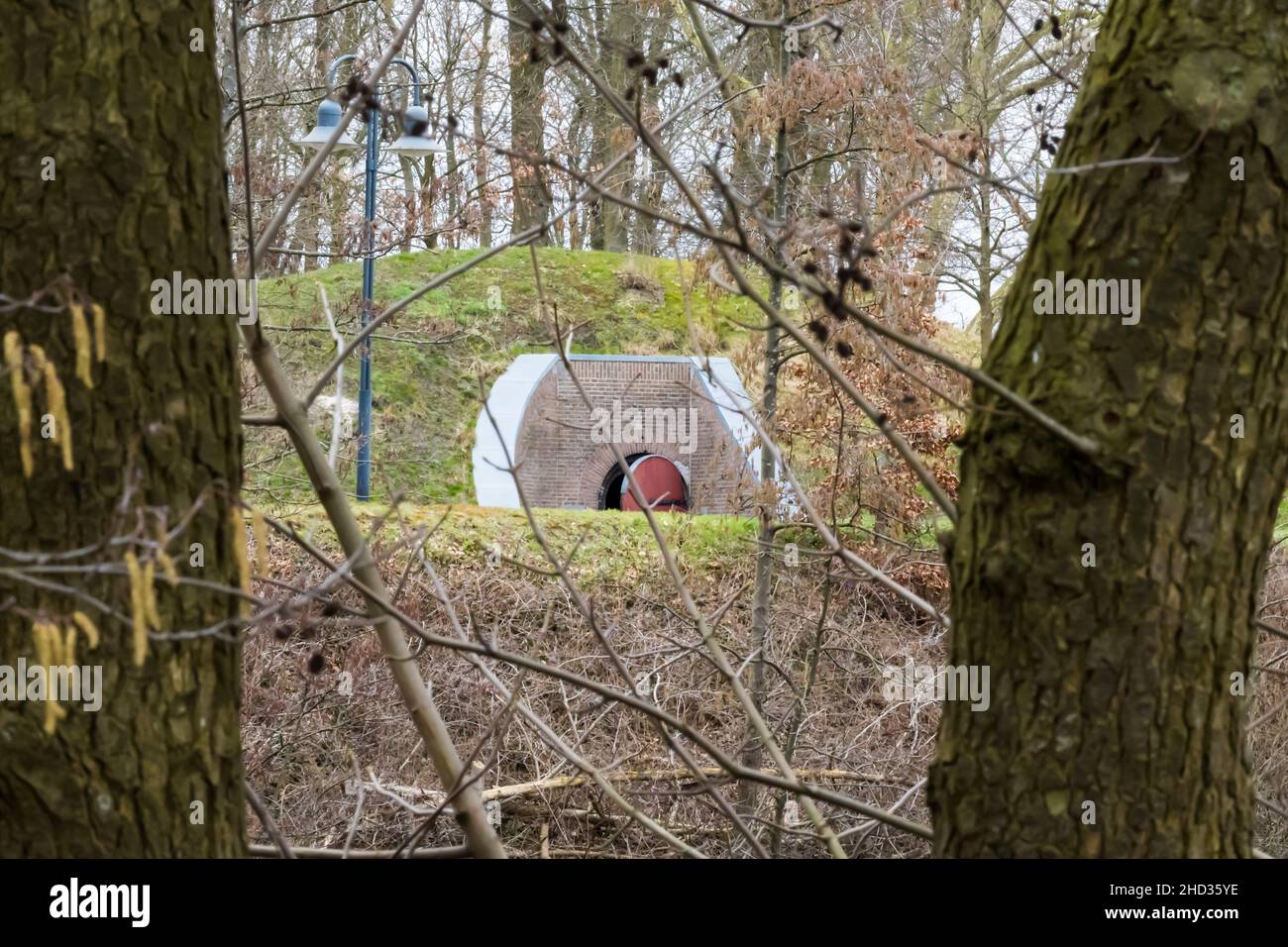Offene Tür eines Kellers mit Blick auf die Natur Stockfoto