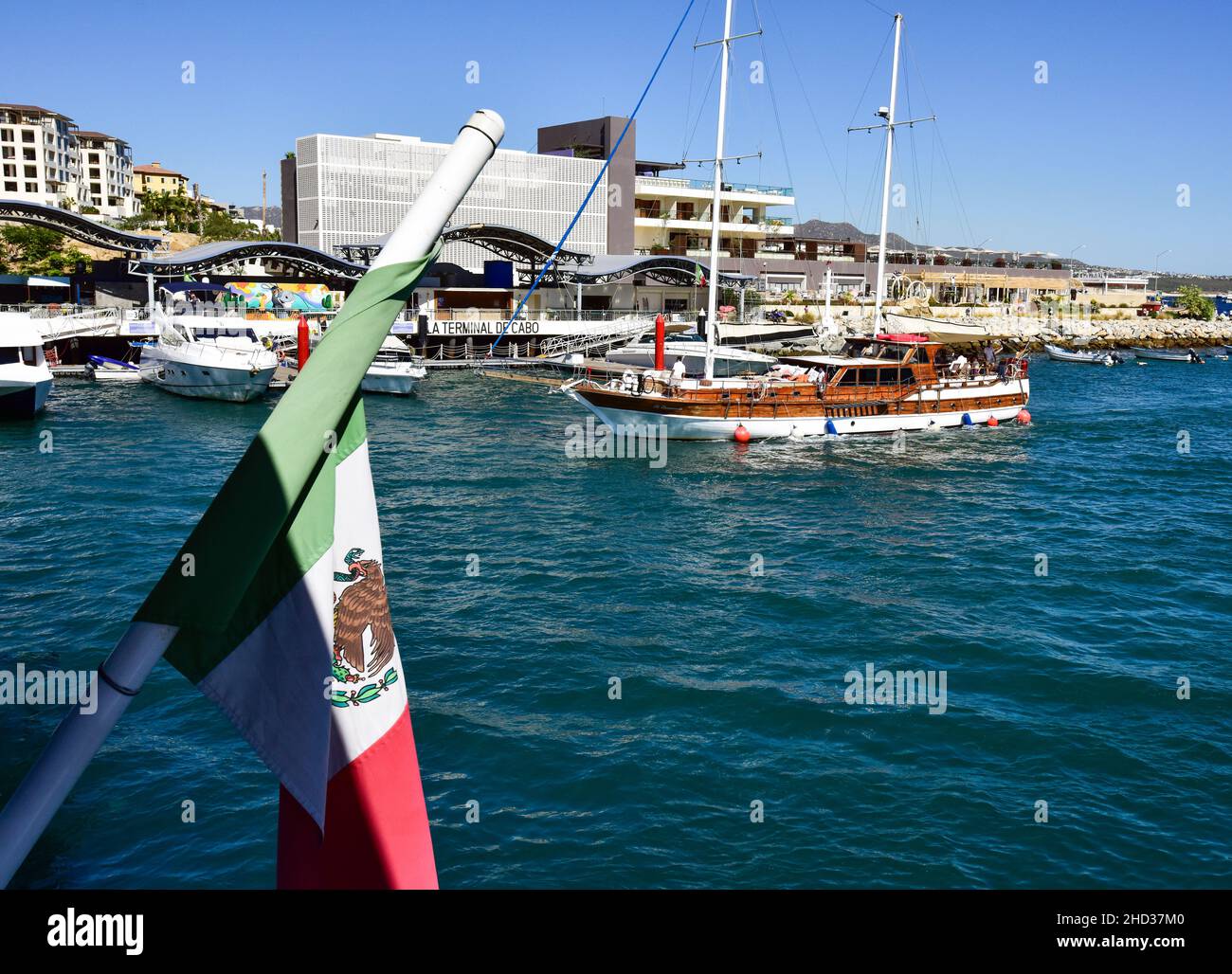 Der Hafen von Cabo St Lucas Stockfoto