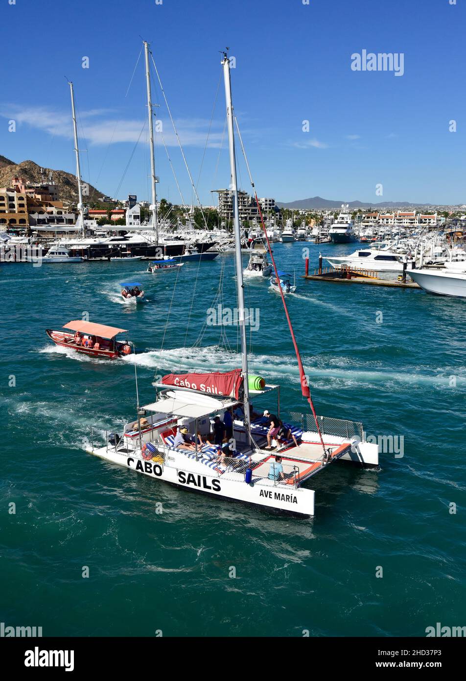 Der Hafen von Cabo St Lucas Stockfoto