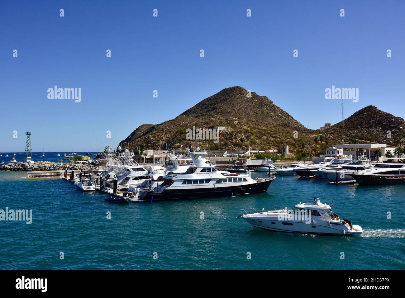 Der Hafen von Cabo St Lucas Stockfoto