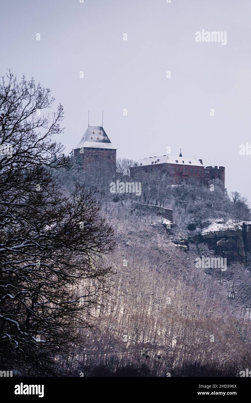 Vertikaler Blick auf das Schloss Nideggen, Eifel, Deutschland im Winter mit Bäumen und Gras im Vordergrund Stockfoto