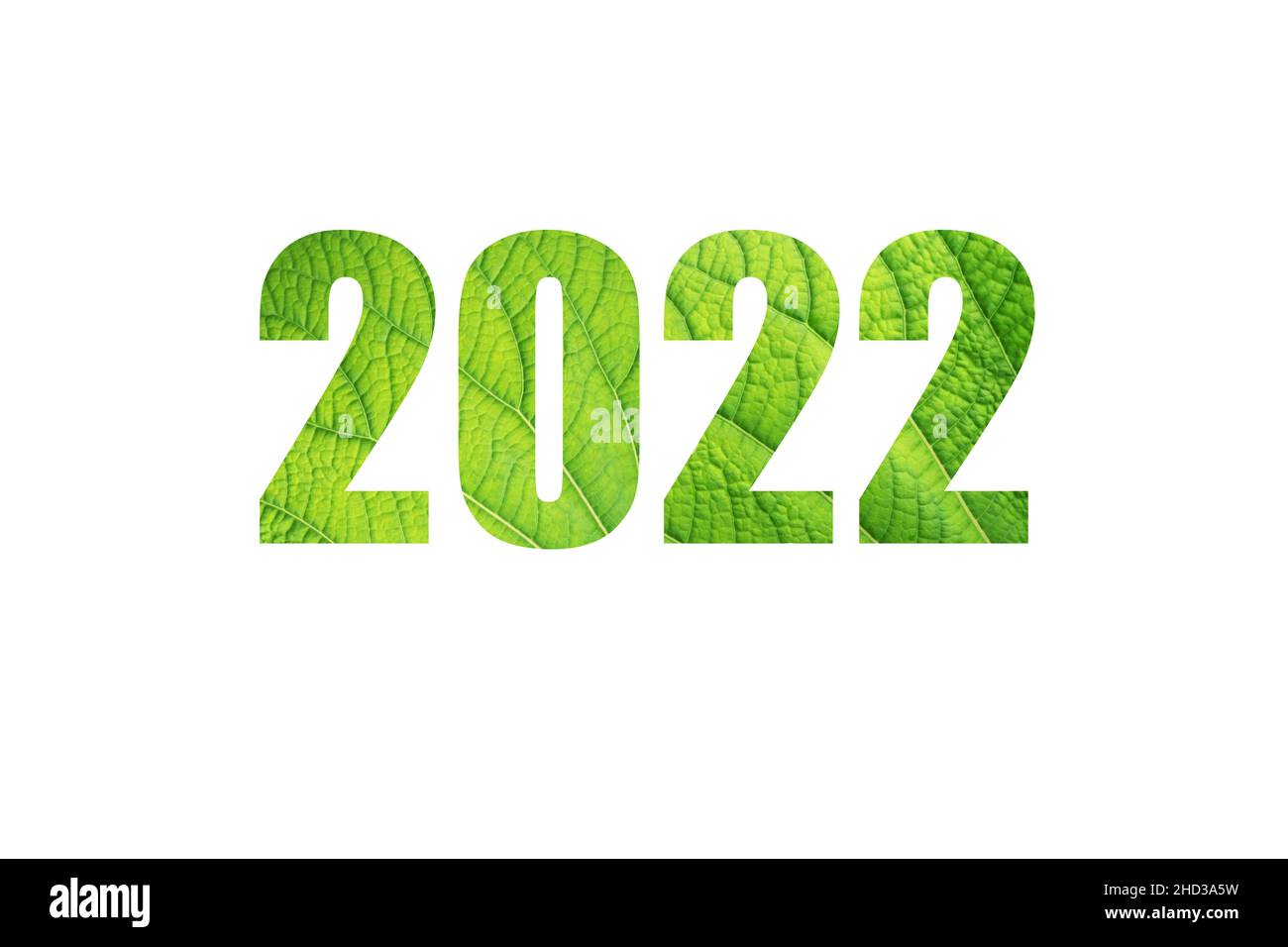 2022 neue Jahresziffern mit Pflanze verlassen Textur isoliert auf weiß bedeckt. Grünes Zukunftskonzept. Stockfoto