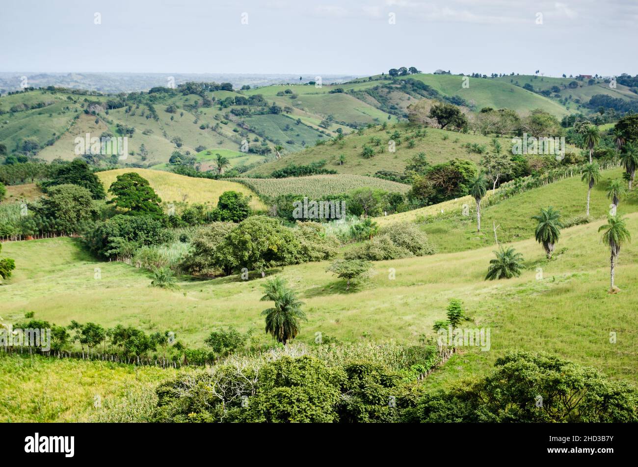 Weiden und landwirtschaftliches Land, typisch für die trockene Region von Panama, bekannt als 'Arco Seco' Stockfoto