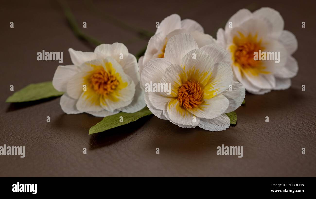 Handgefertigte Weiße Krepppapierblume Stockfoto