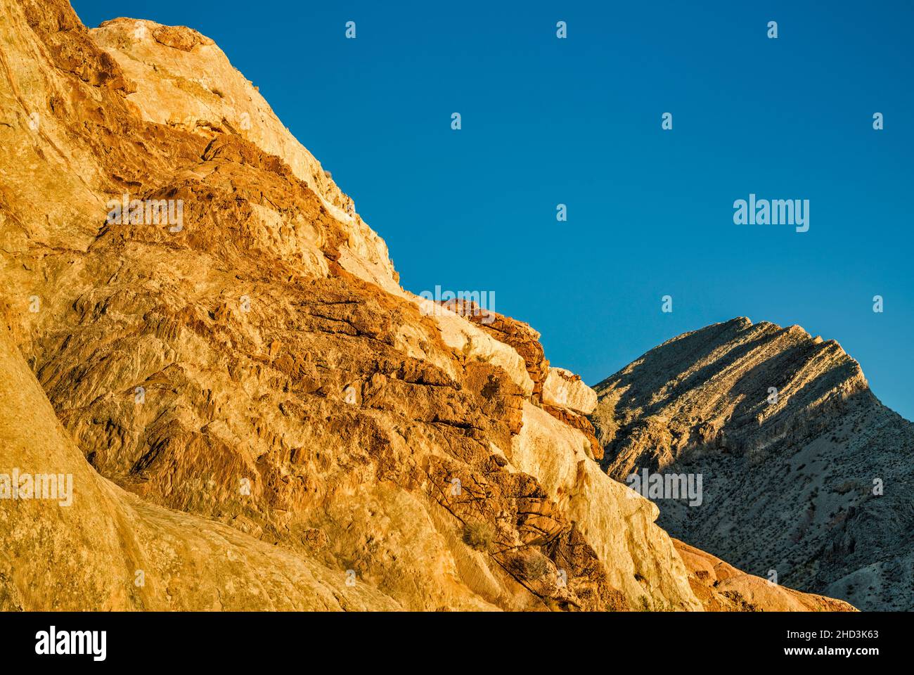 Jurassische Sandsteinfelsen, paläozoisches marines Kalksteinmassiv, Sonnenaufgang, Whitney Pocket Area, Gold Butte National Monument, Mojave Desert, Nevada, USA Stockfoto
