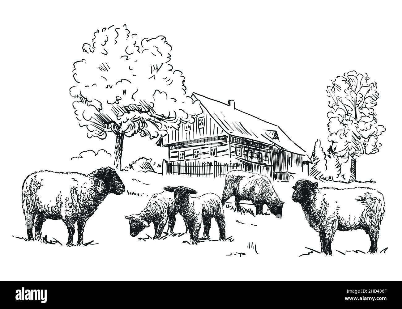 Sheep Farm - eine Herde von Schafen mit hölzernen Fachwerkhaus, schwarz-weiß Abbildung, weißem Hintergrund, Vektor Stock Vektor