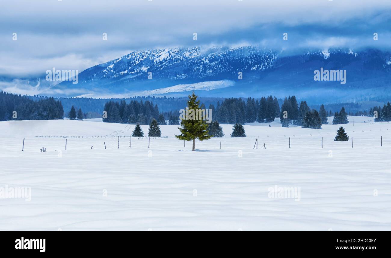 Magische Atmosphäre aus einer verschneiten Landschaft Stockfoto