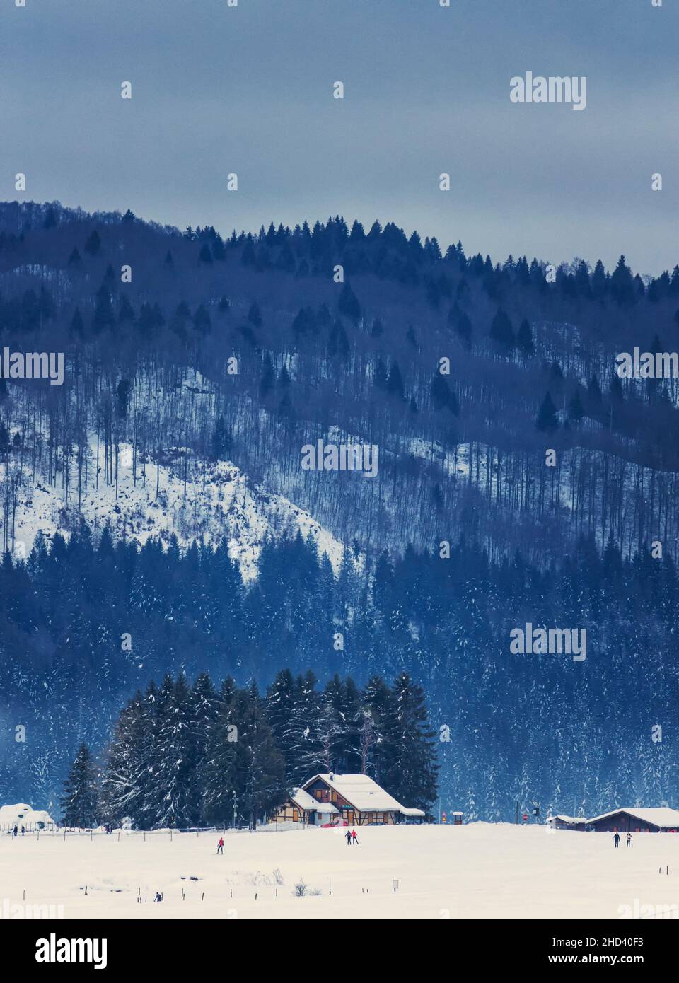 Magische Atmosphäre aus einer verschneiten Landschaft Stockfoto