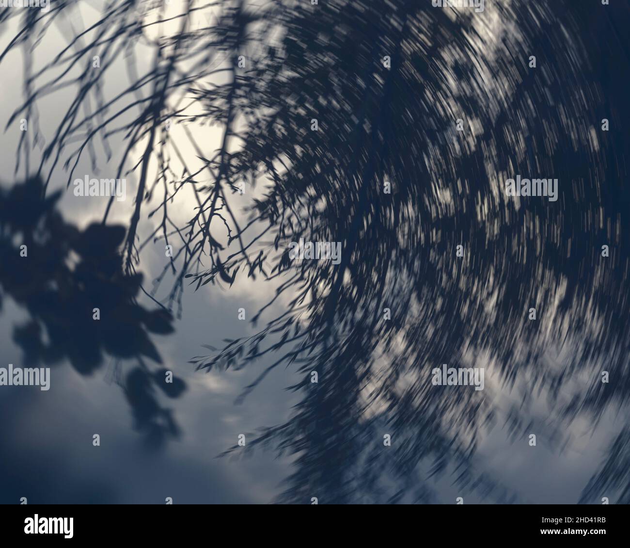 Blau getönte Doppelbelichtung und absichtliche Kamerabewegung beim Betrachen von Pflanzen in einem Garten. Stockfoto