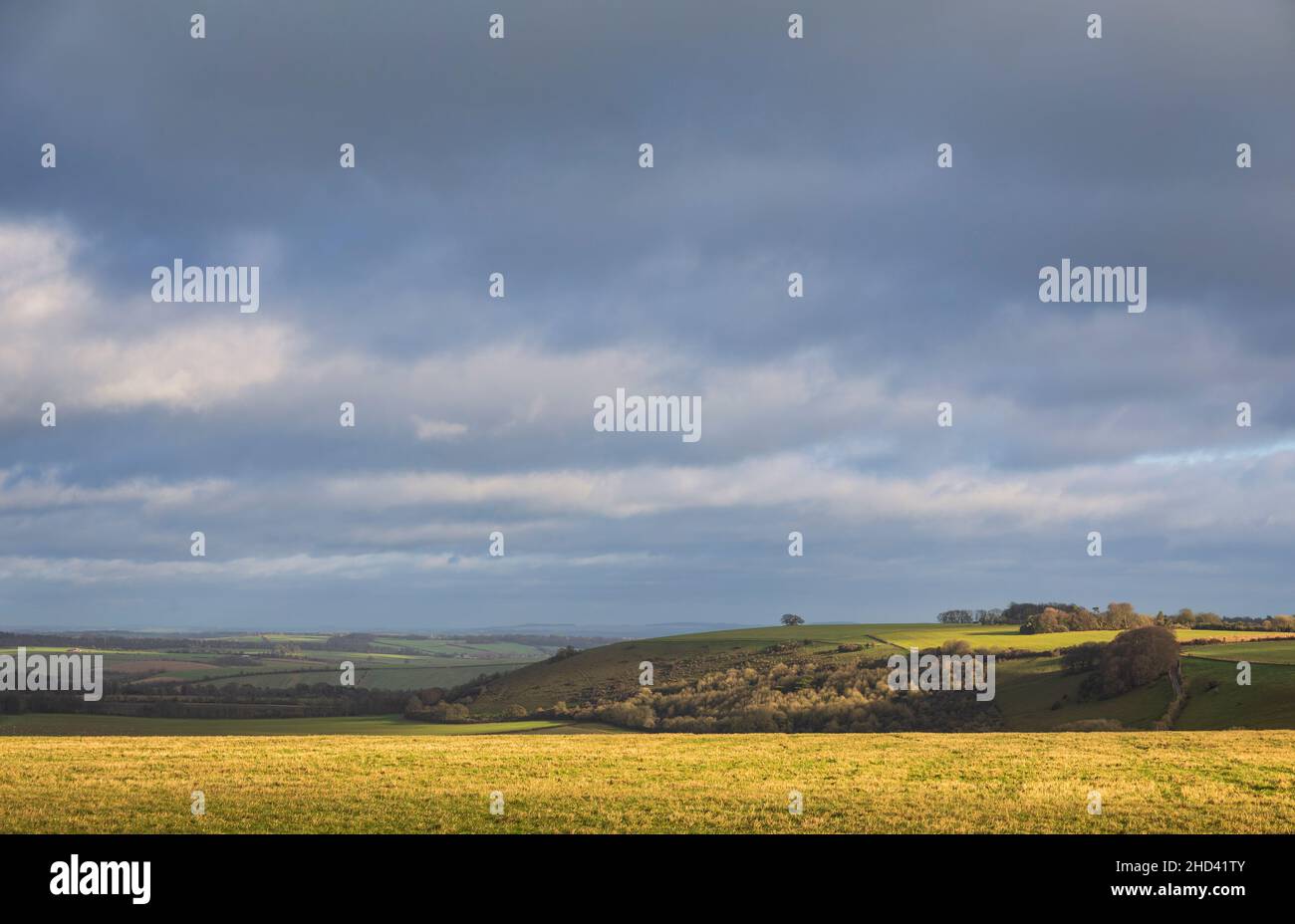 Weite Aussicht vom Chiselbury Ring Hillfort auf Fovant Down Cranbourne Chase West Wiltshire Südwesten Englands Stockfoto