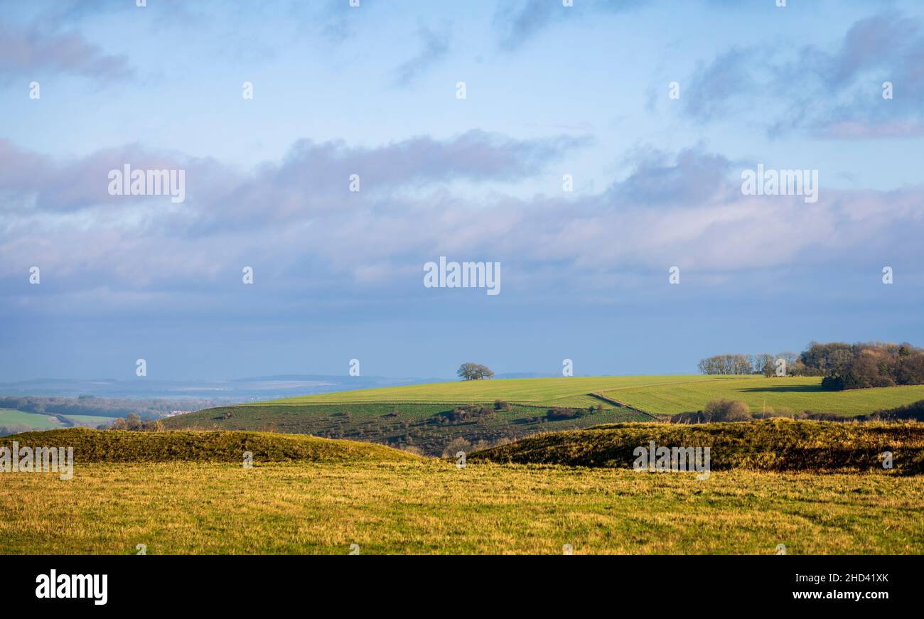 Weite Aussicht vom Chiselbury Ring Hillfort auf Fovant Down Cranbourne Chase West Wiltshire Südwesten Englands Stockfoto