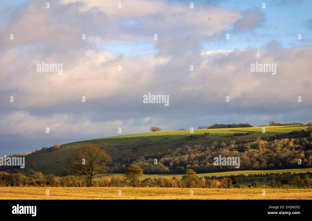 Weite Aussicht vom Chiselbury Ring Hillfort auf Fovant Down Cranbourne Chase West Wiltshire Südwesten Englands Stockfoto