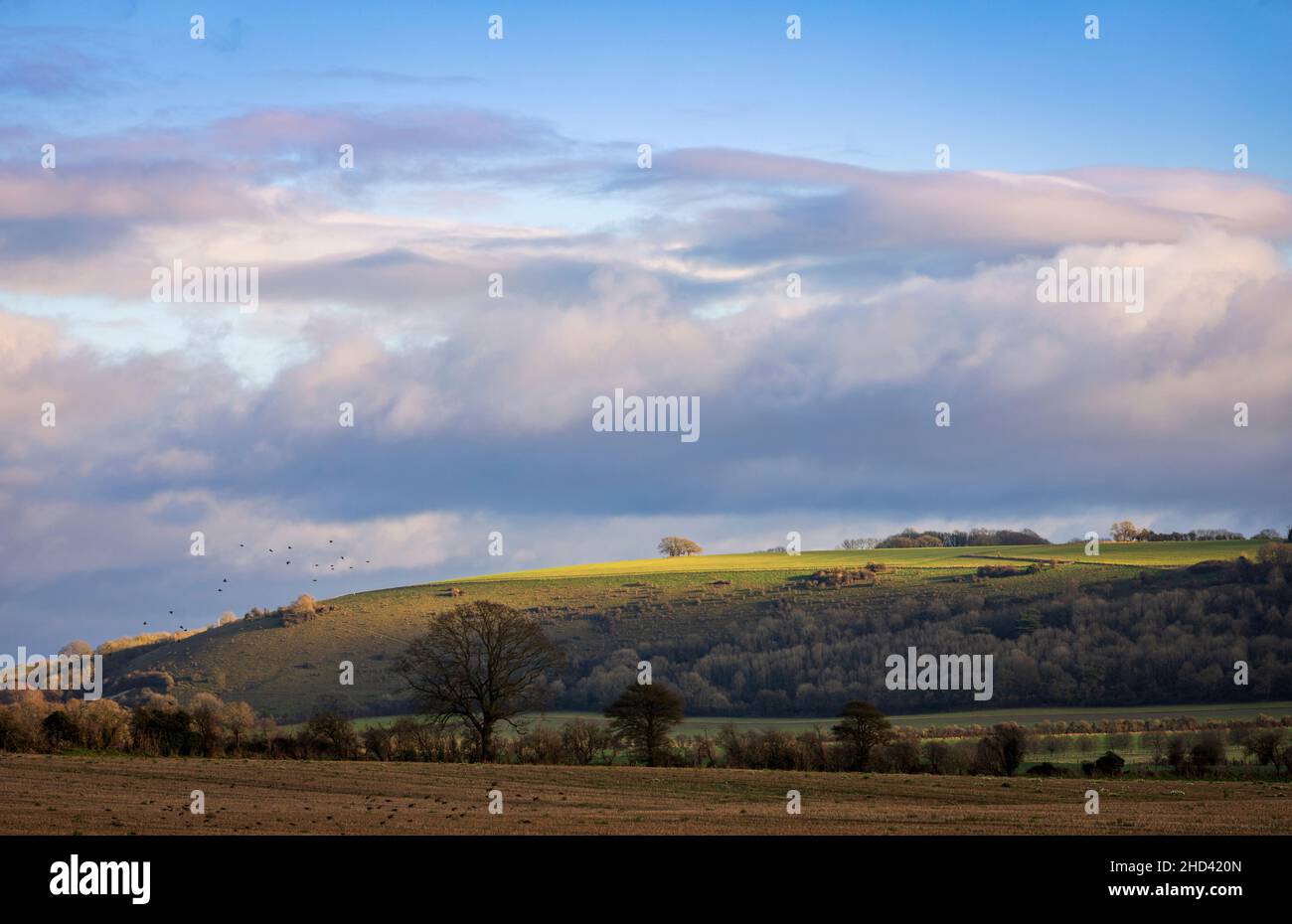 Blick vom Straßenrand von Fovant hinunter und Hydon Hill im Westen Wiltshire Downs Cranbourne Chase im Südwesten Englands Stockfoto