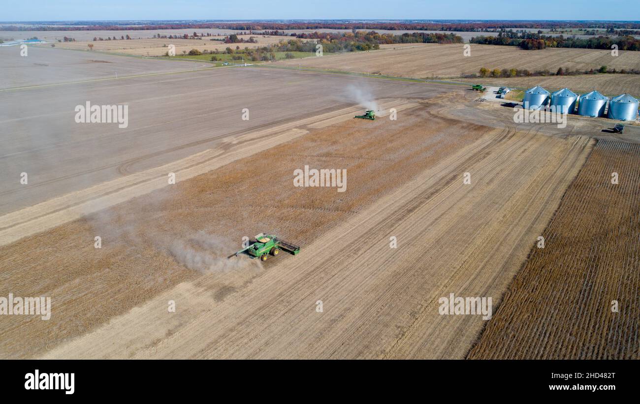 Die Sojabohnenernte auf dem Feld einer Farm tagsüber bei klarem Wetter Stockfoto