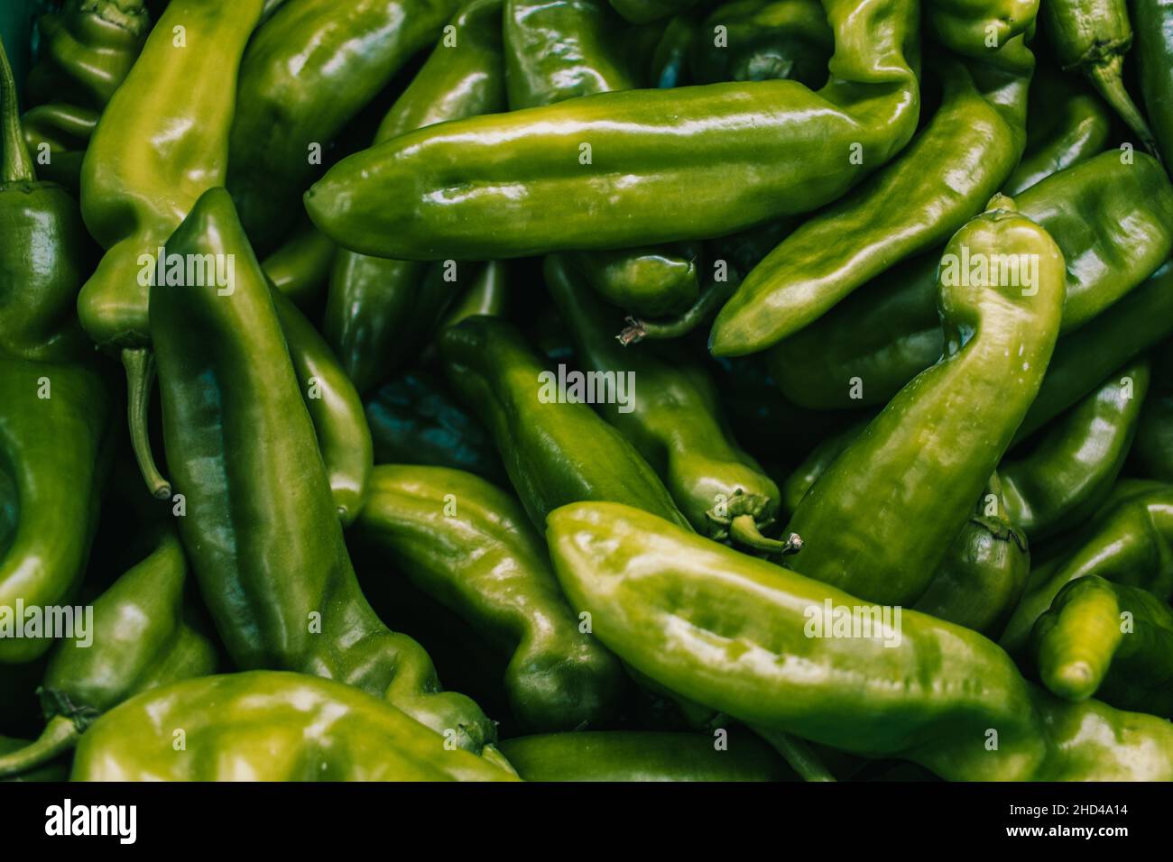 Frische grüne Paprika auf dem Gemüsemarkt. Stockfoto