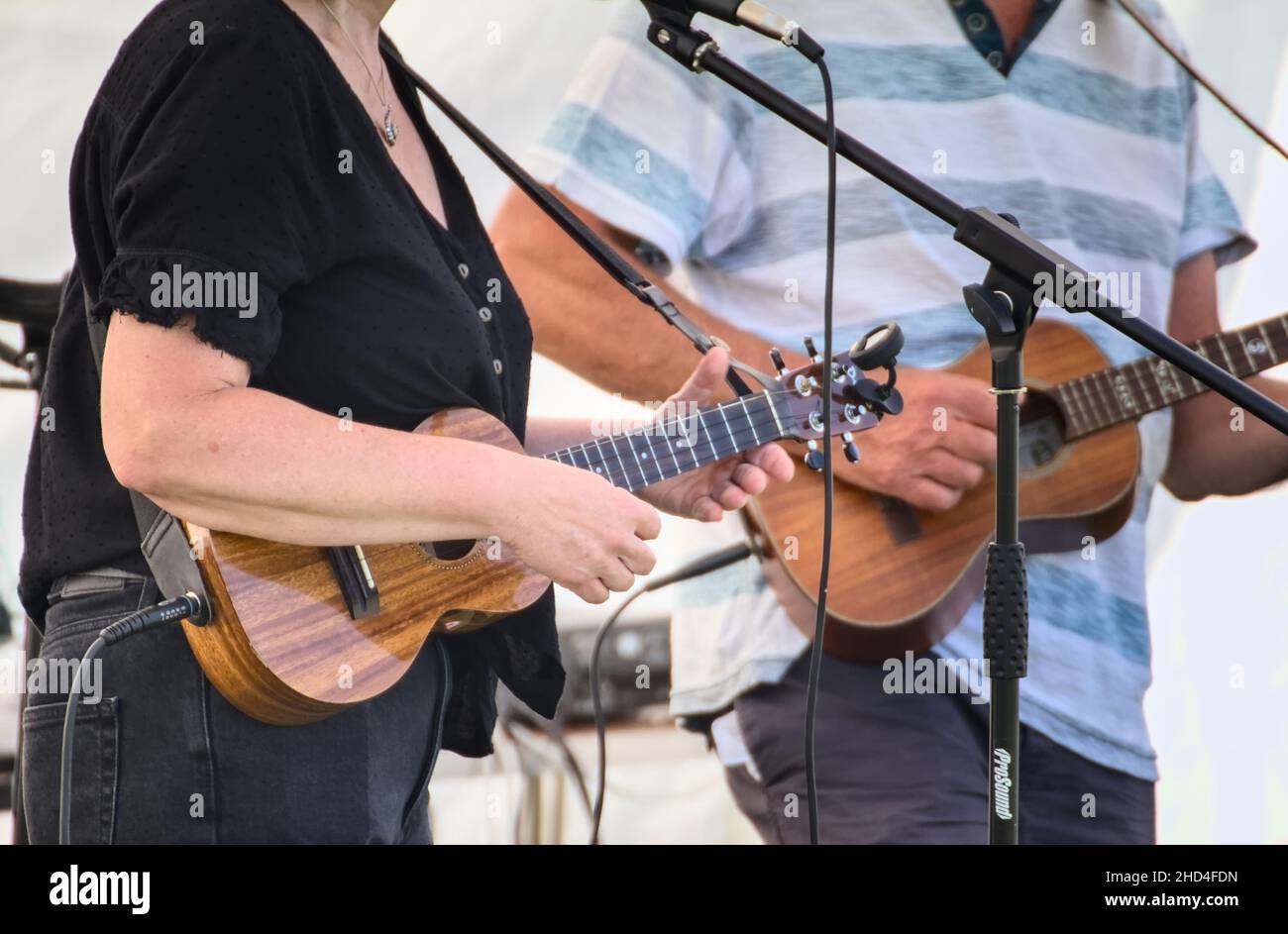 Gitarristen spielen vier-saitige hölzerne Ukulelen in Einer Band, Christchurch UK Stockfoto