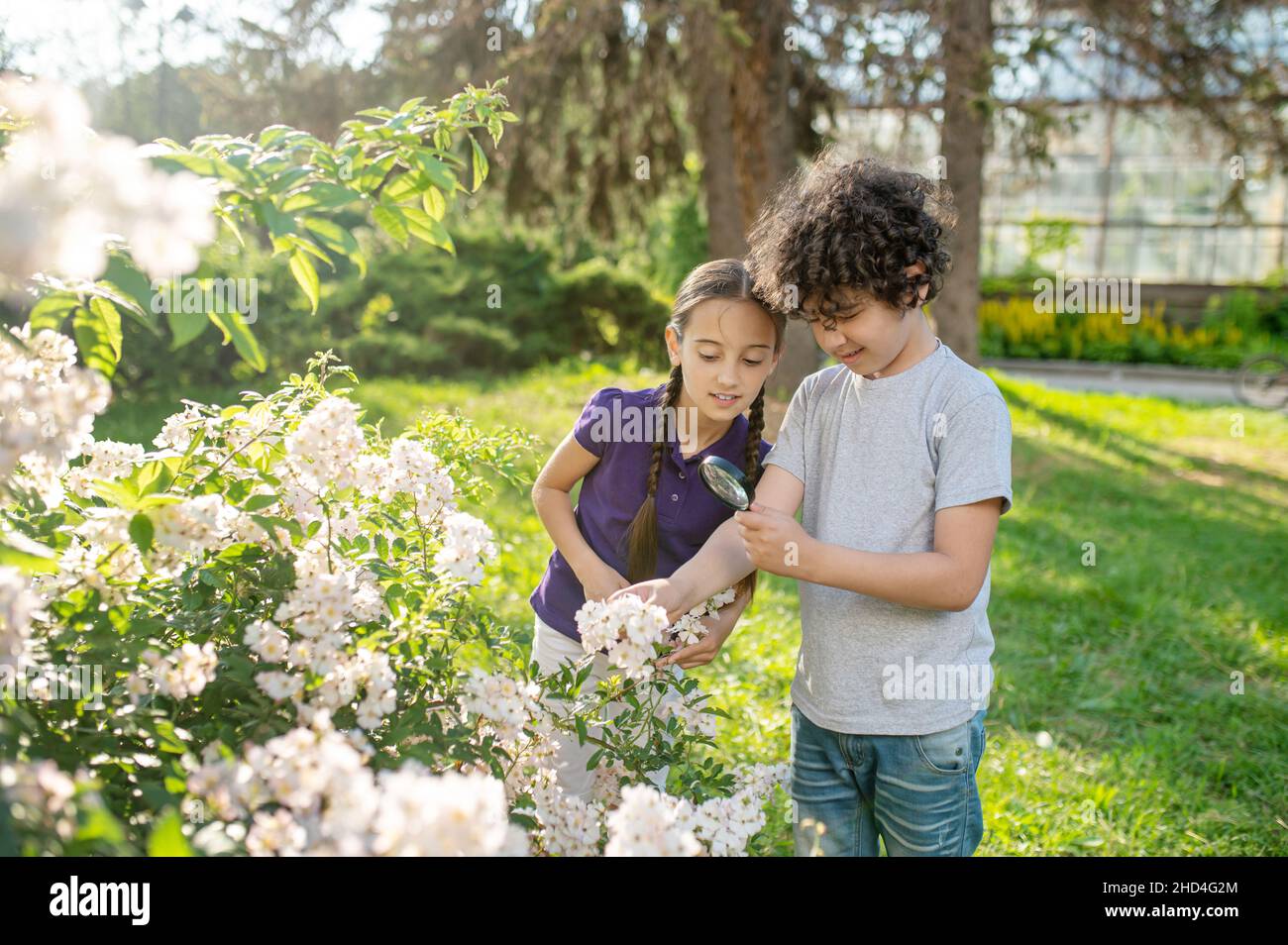 Zwei Jugendliche untersuchen eine Blumengruppe im Park Stockfoto