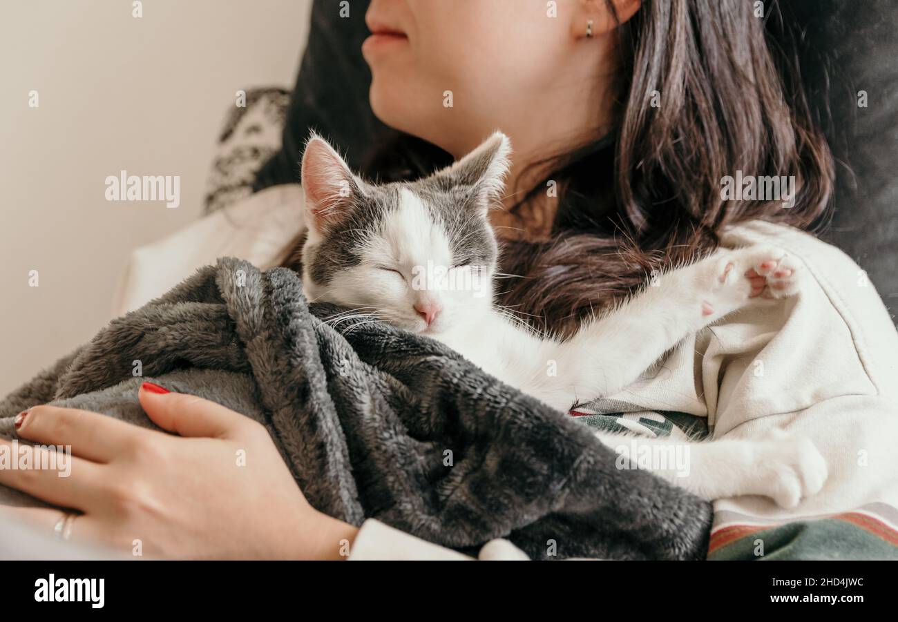 Nahaufnahme eines entzückenden weißen Kätzchens, das in einer Decke gebündelt ist und mit einer Frau auf der Couch kuschelt Stockfoto