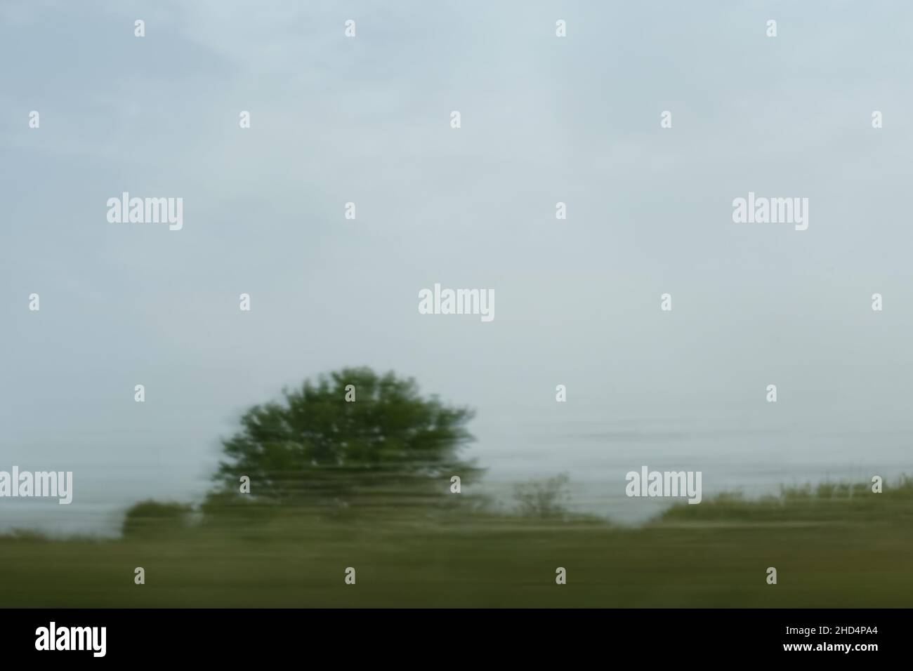 Bewegung verschwommene Bäume und ländliche Landschaft. Reisen durch die Landschaft. Stockfoto