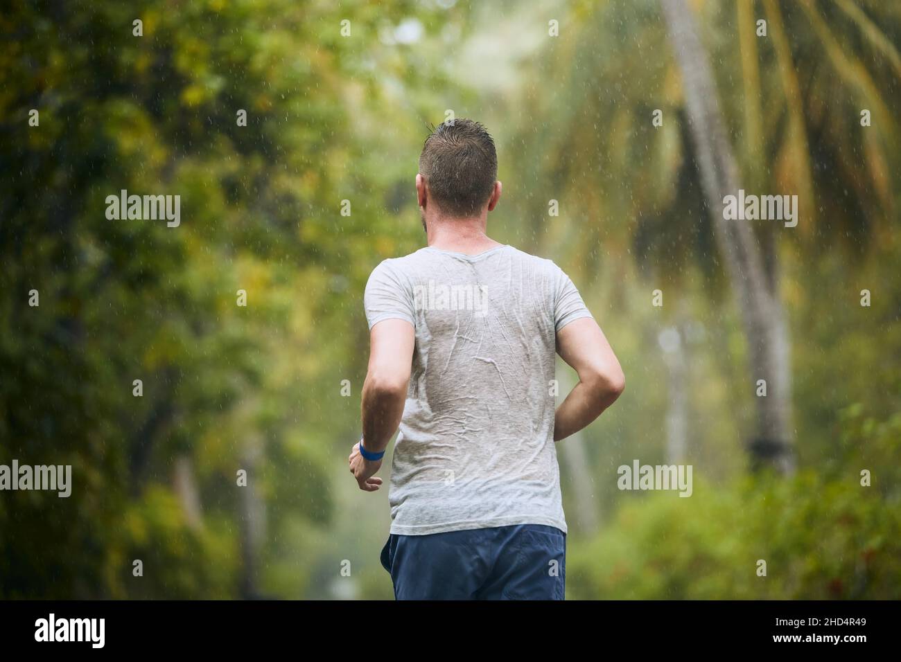 Rückansicht des Laufers bei starkem Regen. Nassen jungen Mann in der Natur rann. Stockfoto