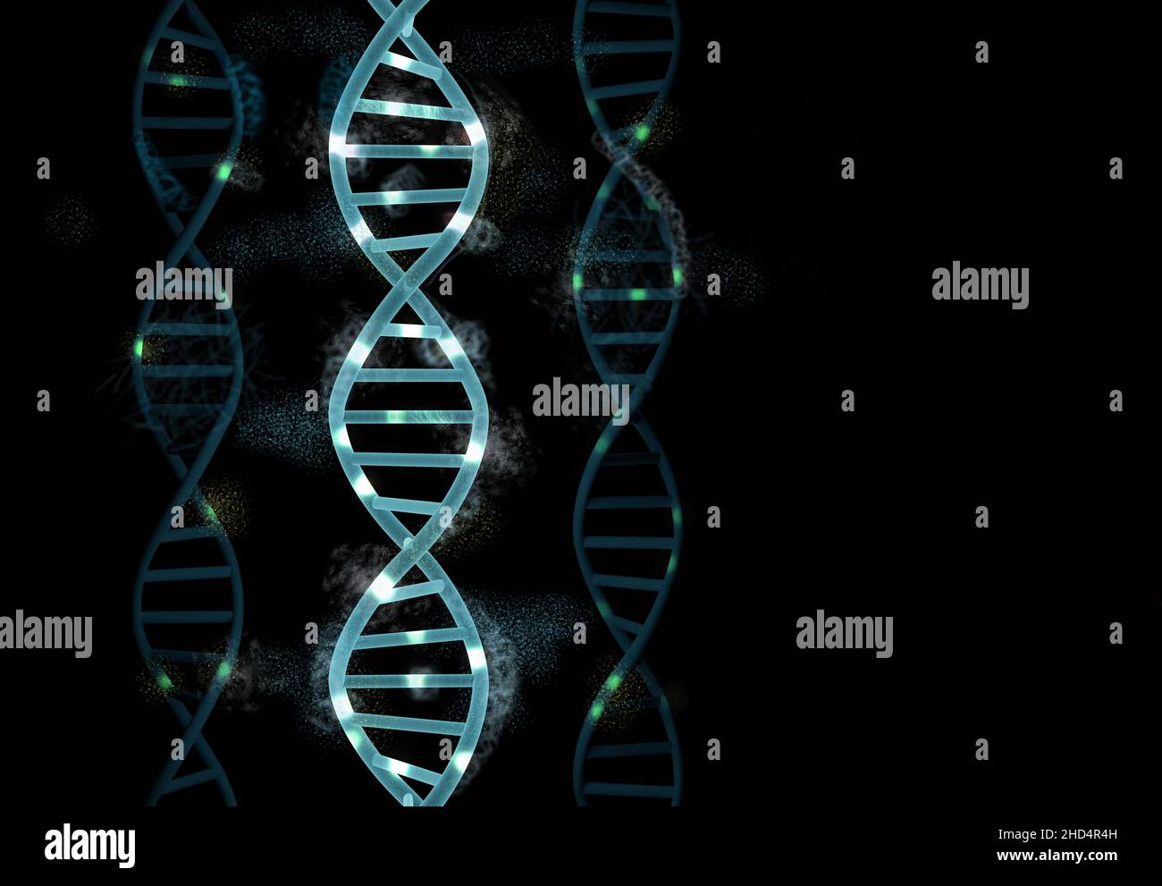 DNA-Molekülstruktur auf schwarzem Hintergrund mit Kopierraum. Science and Technology Concept, wissenschaftlicher Hintergrund, 3D gerendert Stockfoto